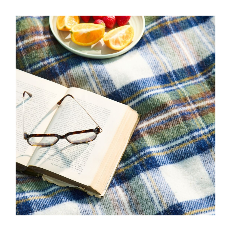 Tweedmilll Eventer Pincic Rug in Tartan Muted Blue Dress Stewart-2