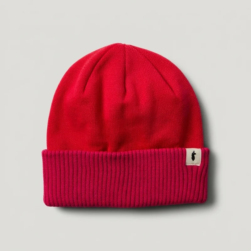 Cotopaxi Alto 2.0 Beanie and Pitaya and Spicy
