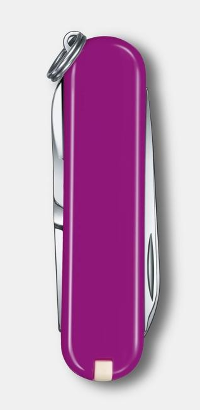 Victorinox  Classic SD in Tasty Grape-2