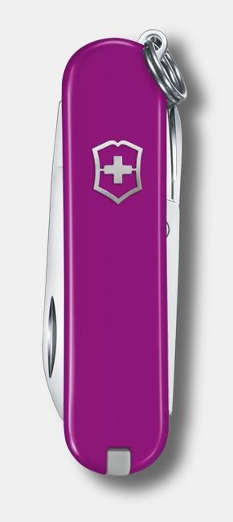 Victorinox  Classic SD in Tasty Grape-1