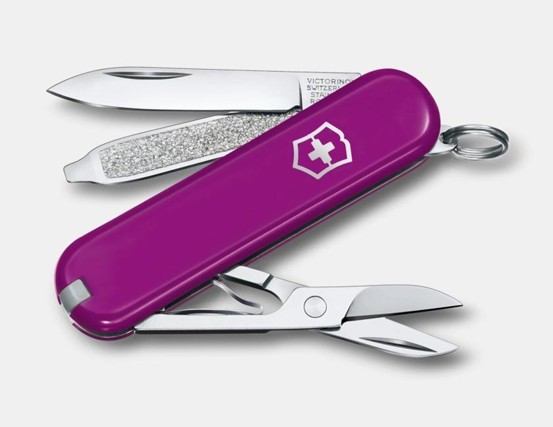 Victorinox  Classic SD in Tasty Grape