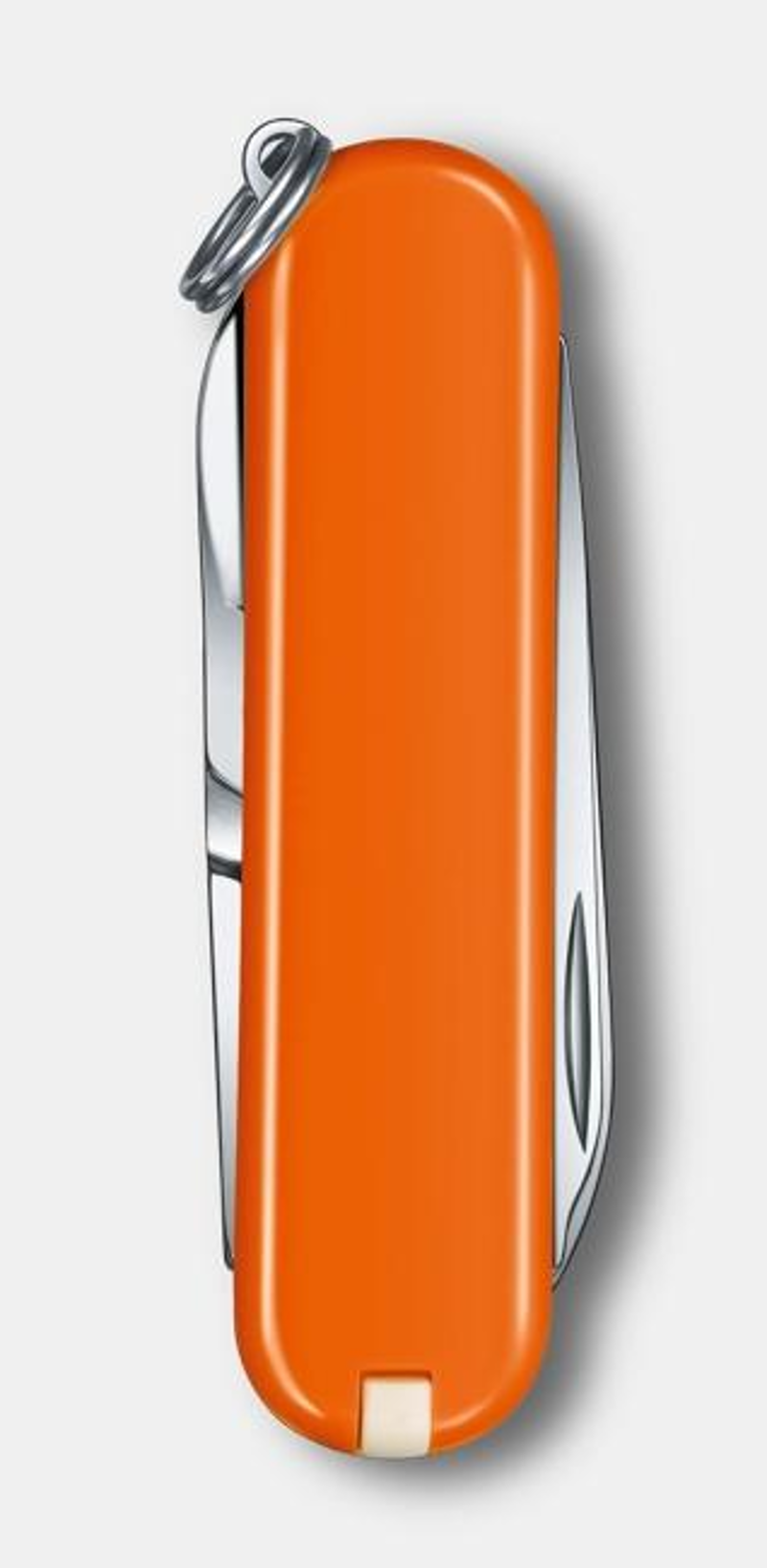 Victorinox Classic SD in Mango Tango-2