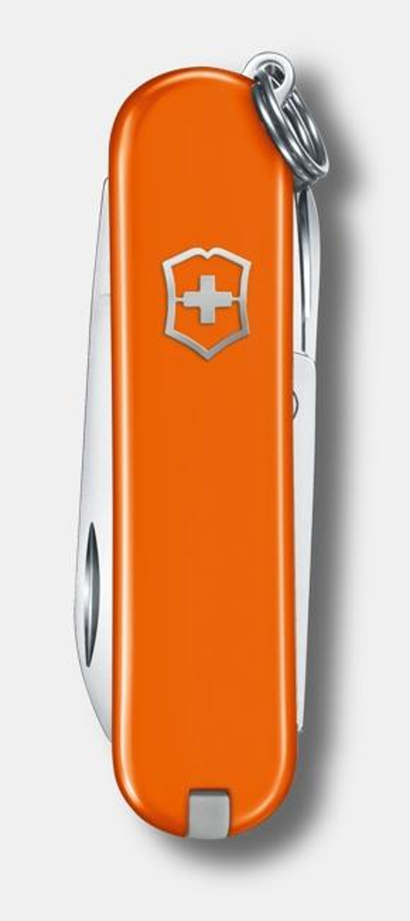 Victorinox Classic SD in Mango Tango-1
