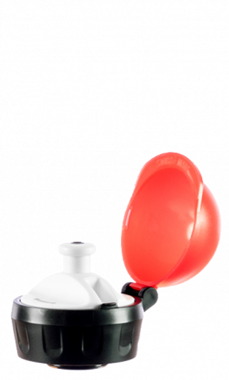 Sigg Kids Water bottle 0.3L in Fairycon -1