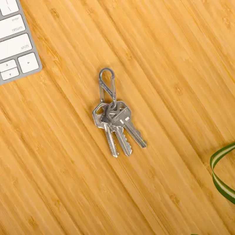 Nitize S-Biner MicroLock - 2 Pack in Spectrum-4