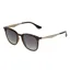 Sinner Cowell Sunglasses in Brown/Yellow Tortoiseshell